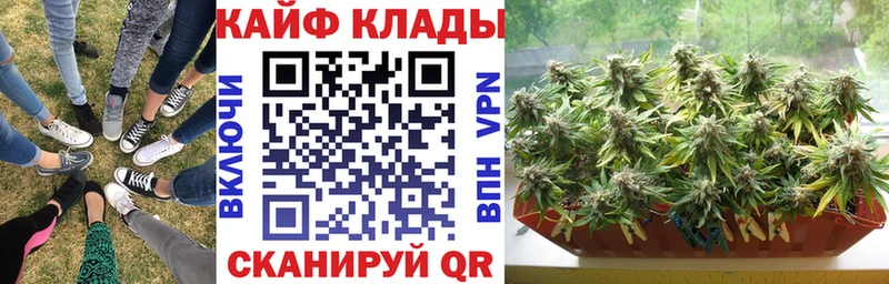 Названия наркотиков Нижневартовск MEGA сайт  МЕФ  Гашиш  Бошки Шишки  Cocaine  СК  Галлюциногенные грибы 
