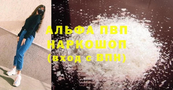 PSILOCYBIN Волосово