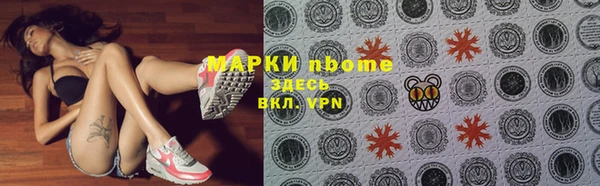 PSILOCYBIN Волосово