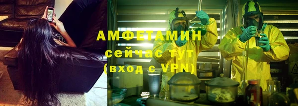 PSILOCYBIN Волосово
